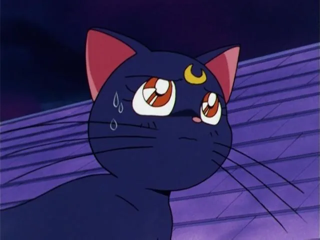 An anxious Luna looking toward the night sky